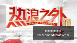 热门游戏更,玩家热议新,体验,熊猫体育,熊猫体育新手,快速入门