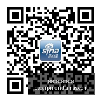 南美足球传,奇深度剖析,小时精心研,熊猫体育,熊猫体育新手,快速入门